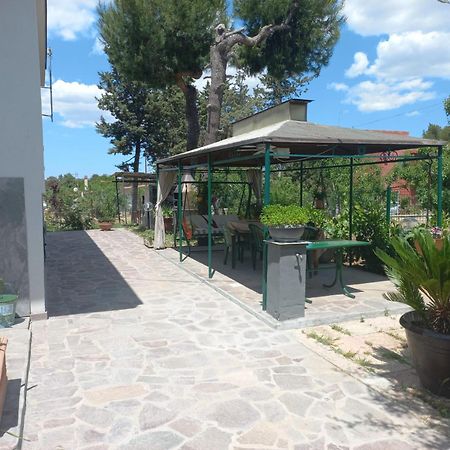 B&B 1898 - Villa Colonna Altamura Eksteriør billede